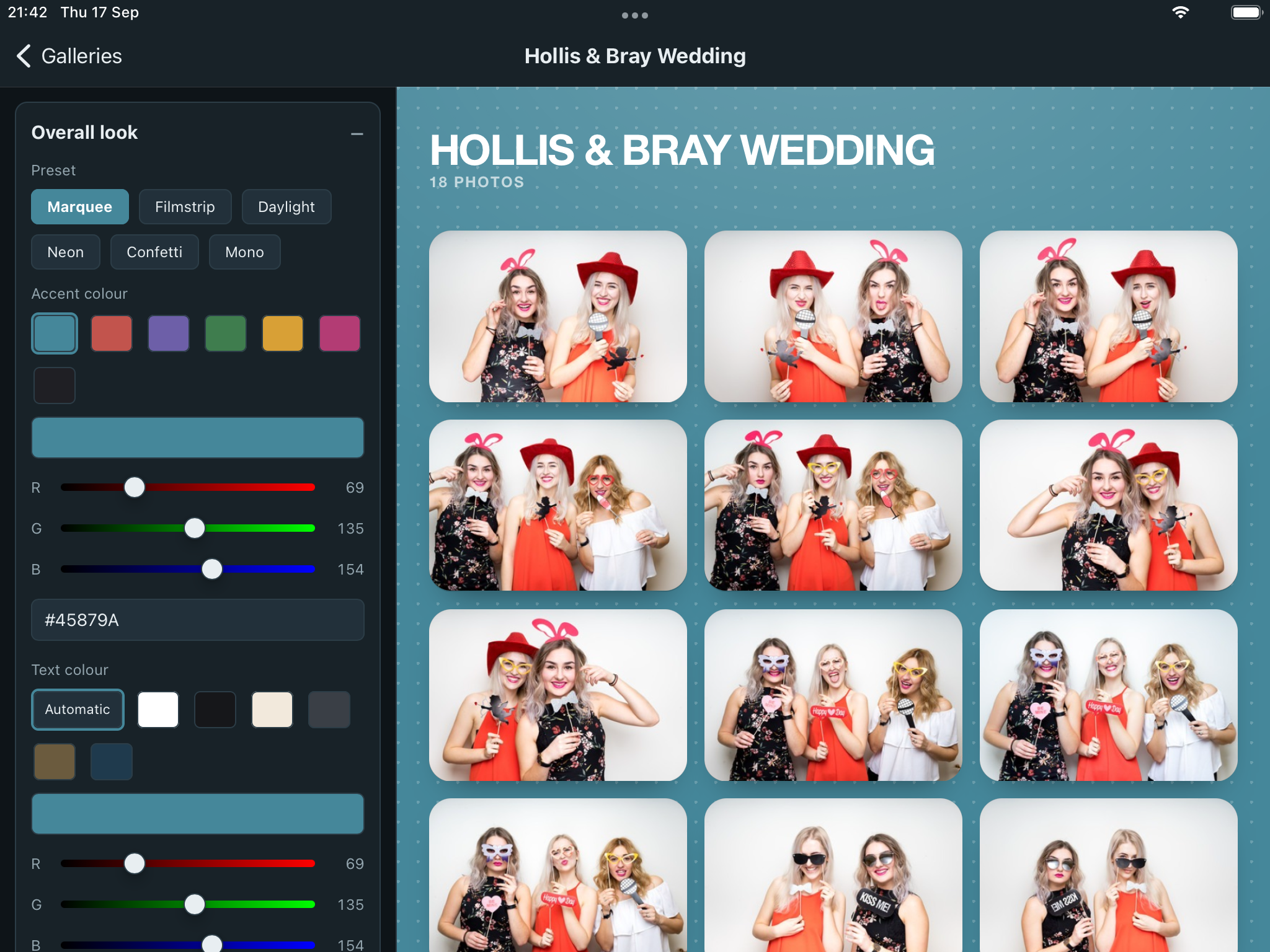 The Customiser on iPad in landscape, with the controls sidebar on the left and the gallery preview on the right